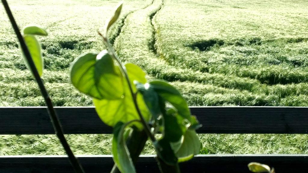 Gite Labradors De Bailly - Giverny Saint-Pierre-la-Garenne Екстер'єр фото